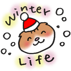 Cat and winter season