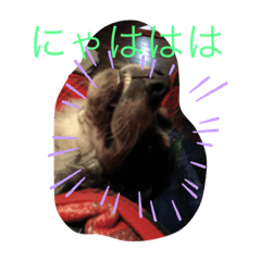 reiko_20191105115327