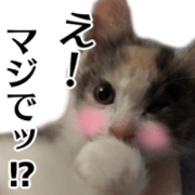 o tenba po muto bibiri no fu i