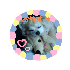 bibi_20191105164908