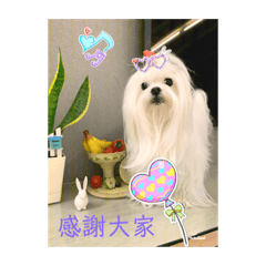 愛打扮的女生