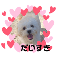 riho_20191105174105