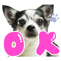 mizuki_20191105182702