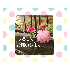 tommy_20191105200321