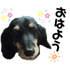omochi_20191105183705