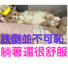 SCB_20191105233237 - LINE スタンプ | LINE STORE