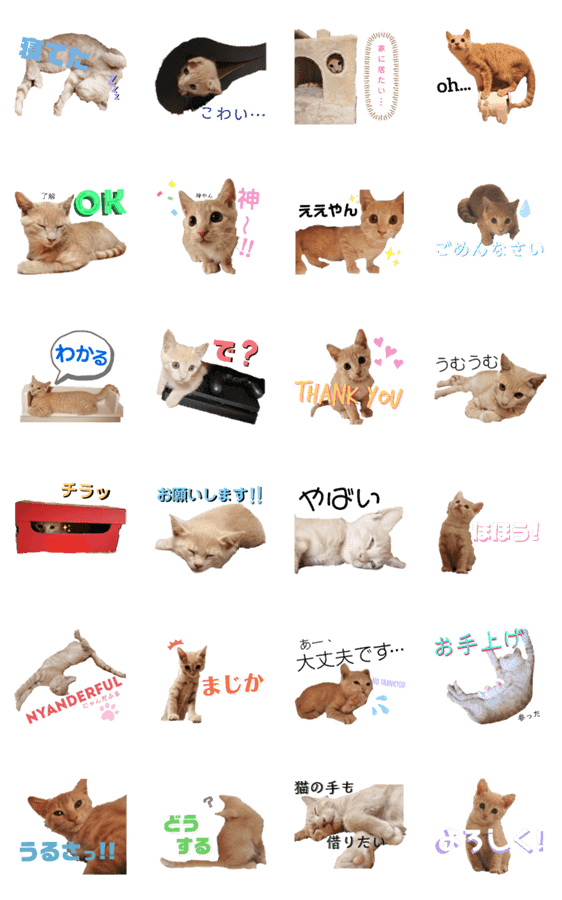 とある猫のスタンプ Lineクリエイターズスタンプ Stamplist