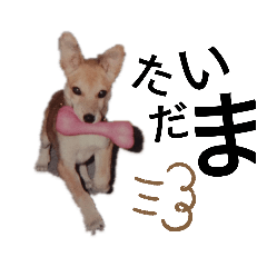 pon_20191105214919
