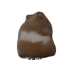地頭瓜日常