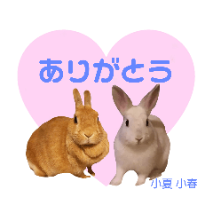 moka_20191105225811