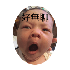 Hollyroo三月表情多多