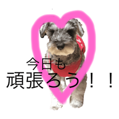 risa_20191105234243