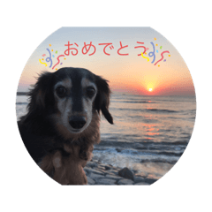 pyon_20191106004352