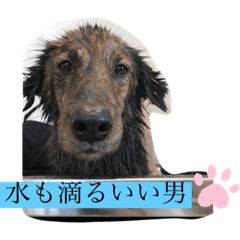 Chihiro_20191106102445