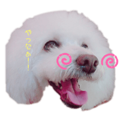 RINA_20191106114736