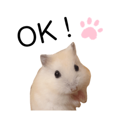 mizuki_20191106115606