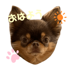 aoi_20191106182939