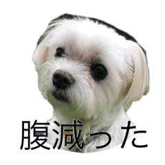 nanana_20191106205049