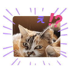 aoi_20191106203755