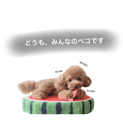 yun_20191106215125