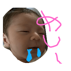 papa_20191106220446