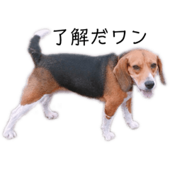 megu_20191106010703010525