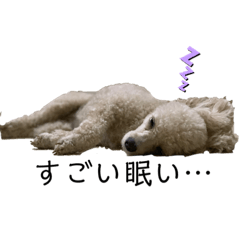 miminokokoro
