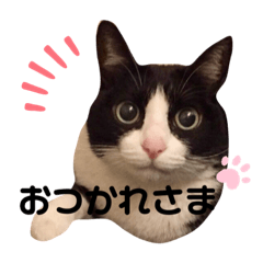 naho_20191106020448