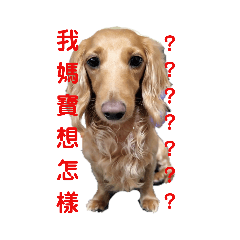 Lin ya fen_20191106085930