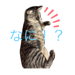 jun_20191107013725
