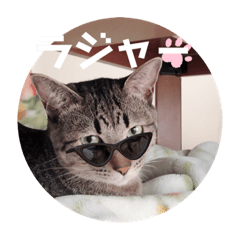 momo&yuzu.