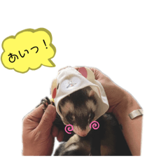yamo_20191107021139