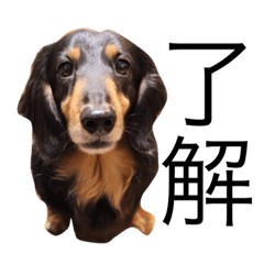jack_20191107011710