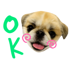 koumechannonichijo
