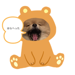 kyoko_20191107091556