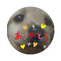vivi_20191107101538