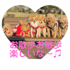 yukari_20191107083833