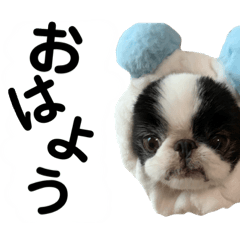 kousukeno nichijo