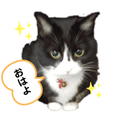 mayuyu_20191107104817