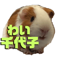 chiyo_