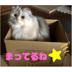 kuu_20191107122349