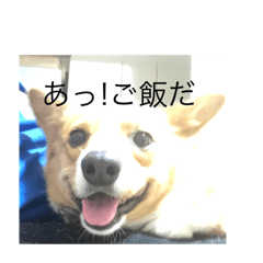 moko_20191107062842