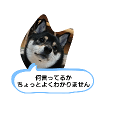 reiko_20191107141339