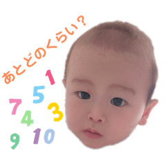 ITSUKI No.2 everyday