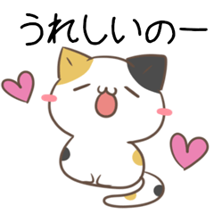 Fukui dialect Calico cat