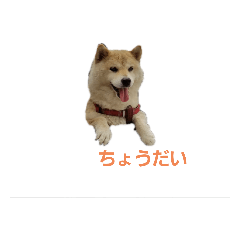 hiroyuki_20191106230352