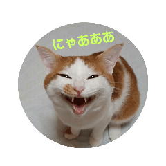 mayumi_20191107153638