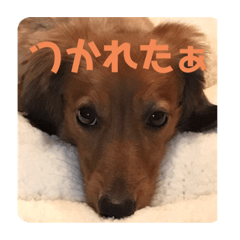 REIKO_20191107155736