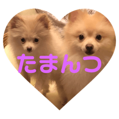 seira_20191107164315