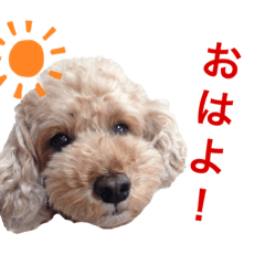 mari works_20191107165201